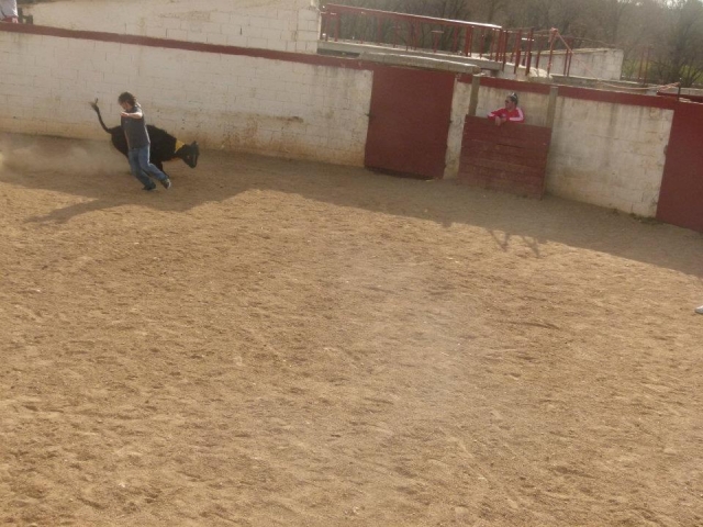 Probando recortes.jpg
